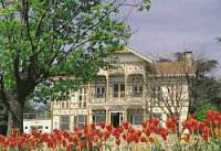 Tulips in palace gardens