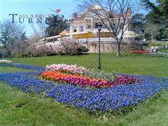 Festival dei Tulipani nel parco di Emirgan