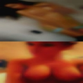 Sex in scat