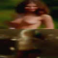 Swingers forced